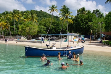 The blue boat
